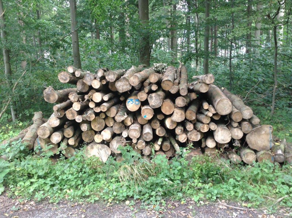 Brænde 2015 Risbrovænge 2515